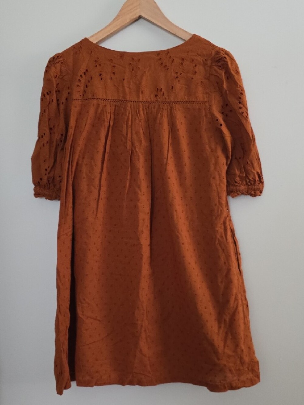 Universal Thread Rust Eyelet Mini Dress - Picture 4 of 4
